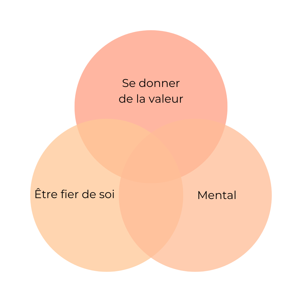 Schéma estime de soi